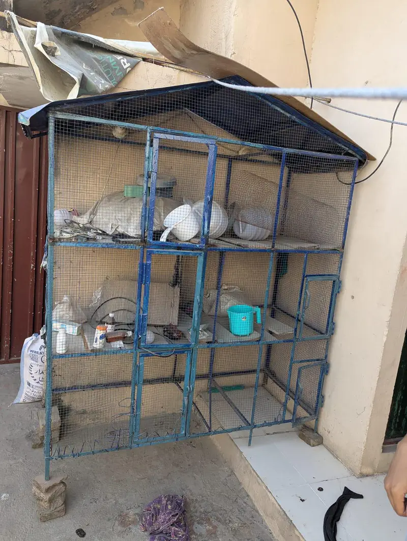 Hen metal cage — photo 2