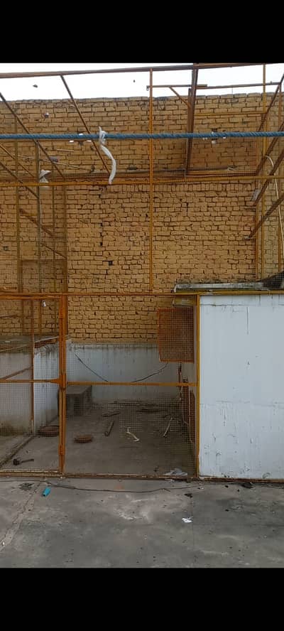 Bird Cage