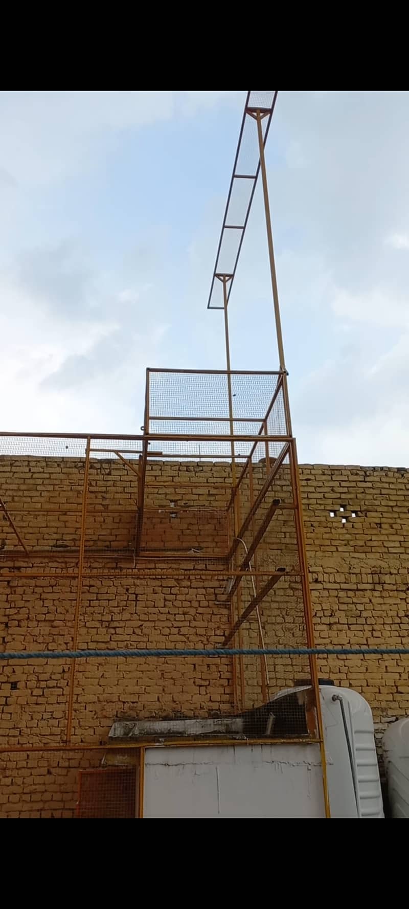 Bird Cage 1
