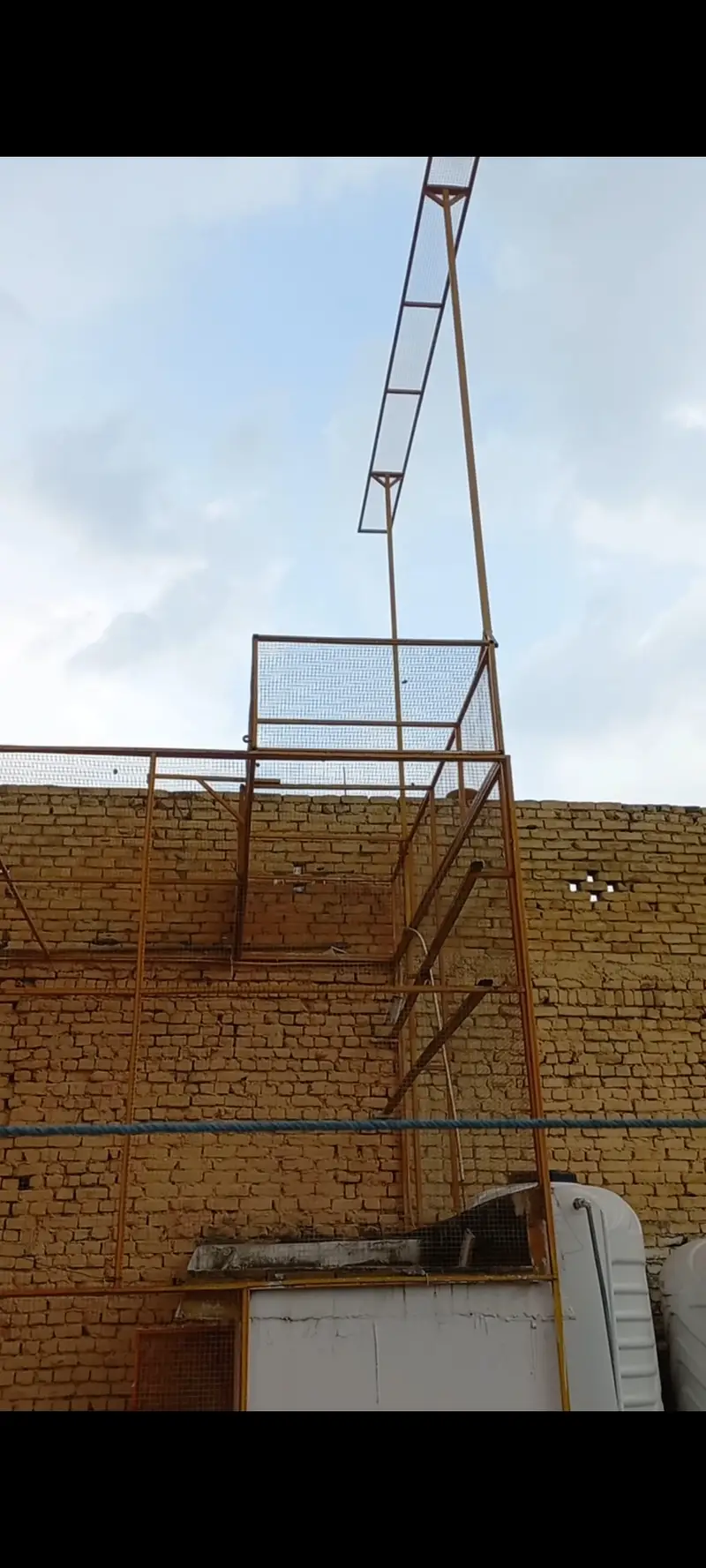 Bird Cage — photo 2