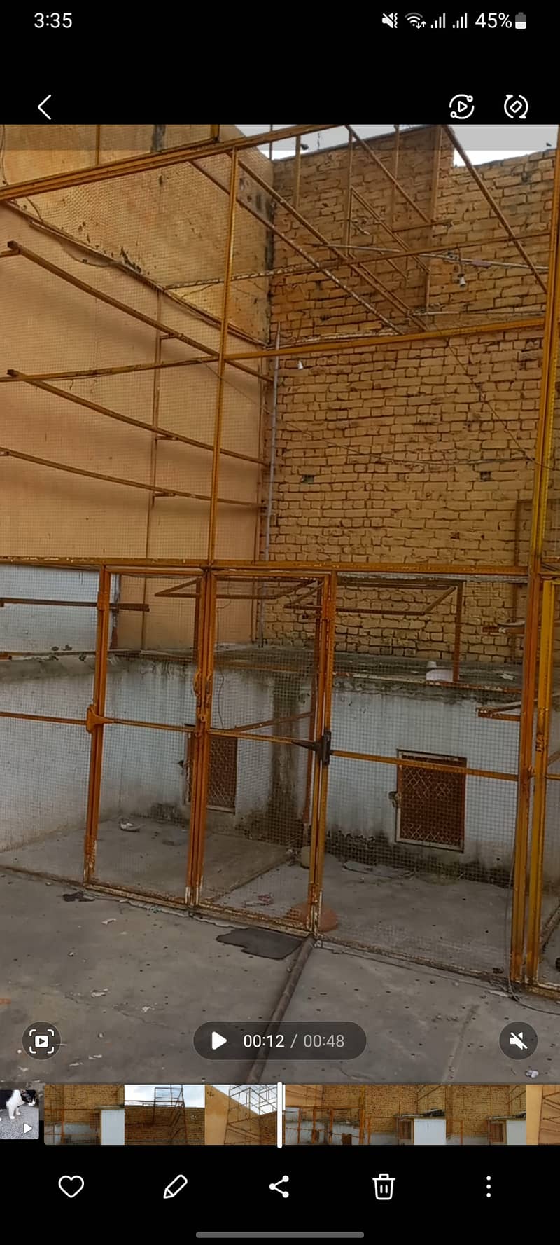 Bird Cage 4