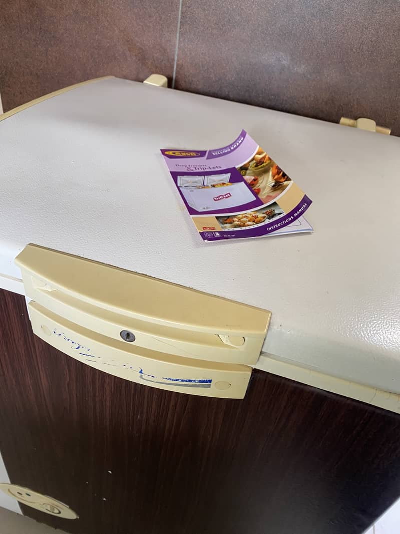 Waves Single Chest Deep Freezer – Energy Efficient & Spacious 3