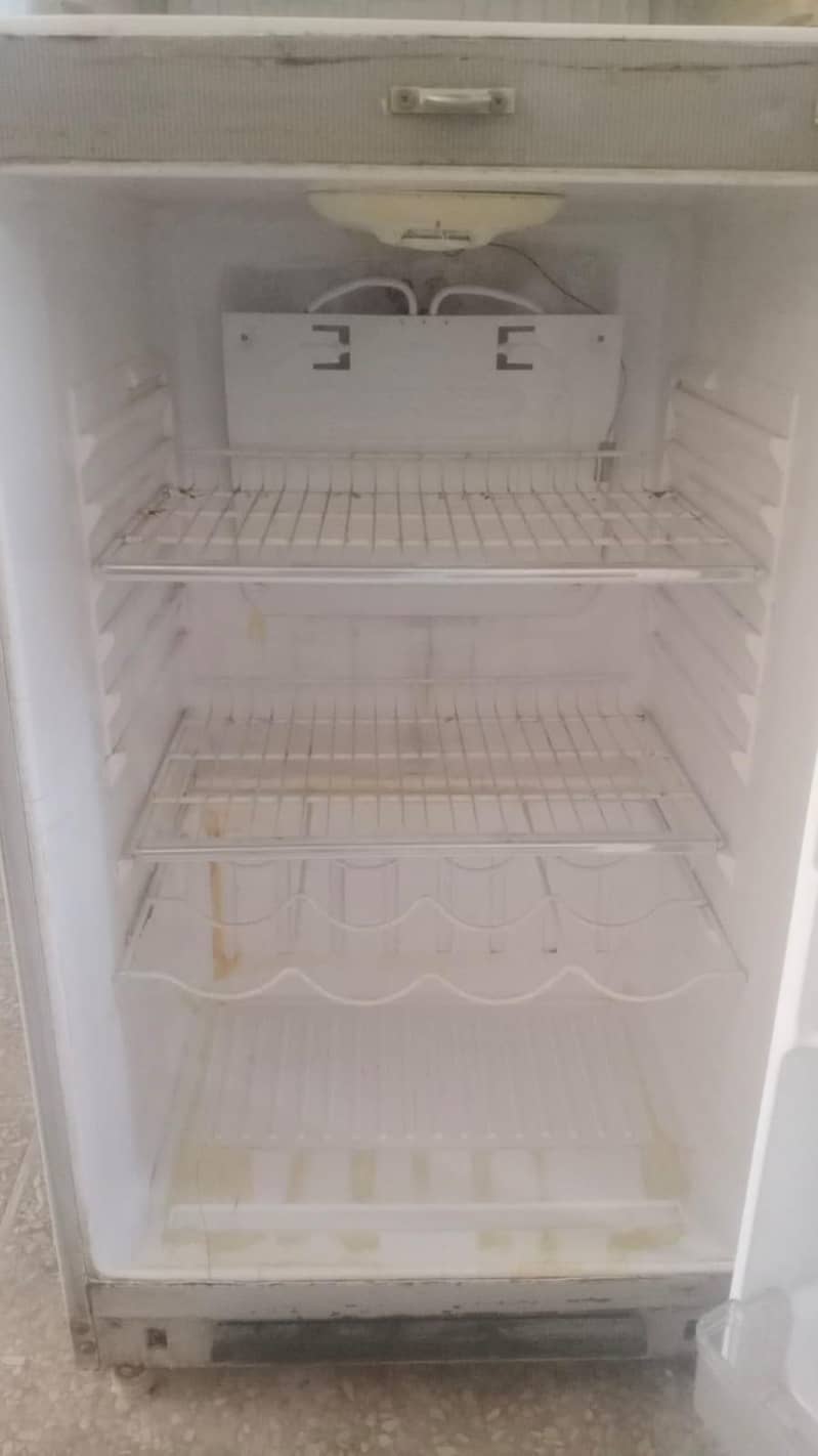 waves medium size fridge 6