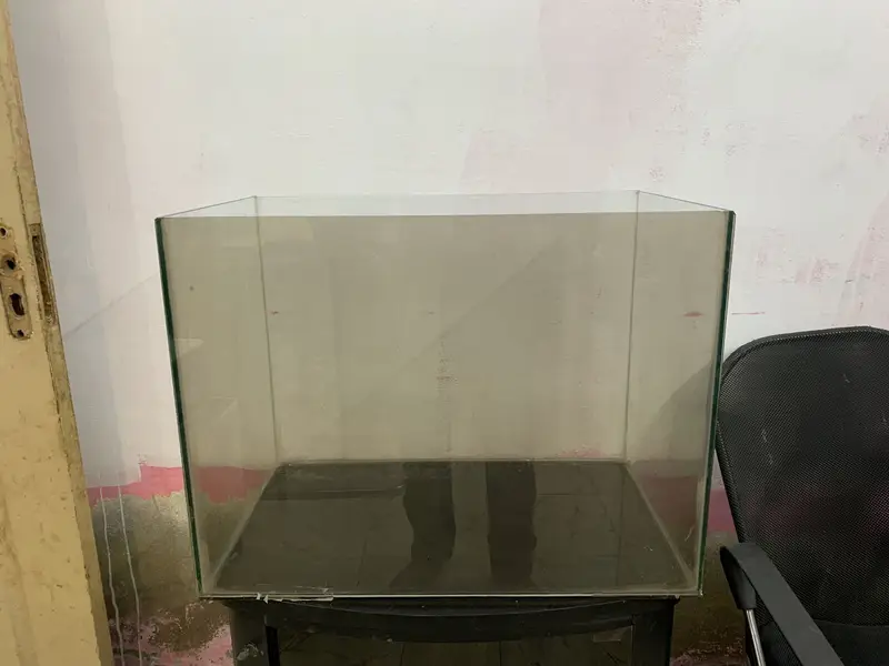 Aquarium — photo 12