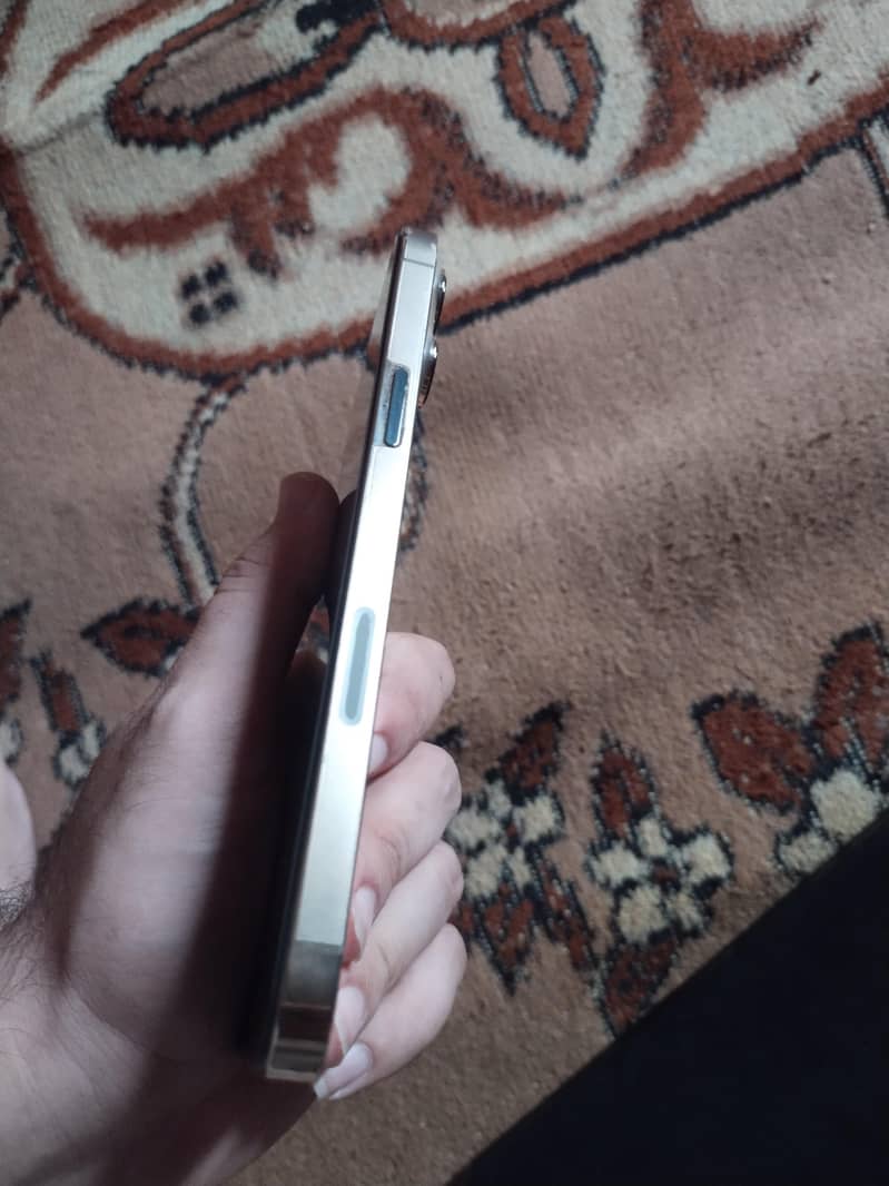 Apple iPhone 13 Pro Max 1