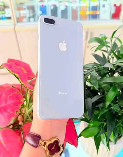 iPhone 8 Available