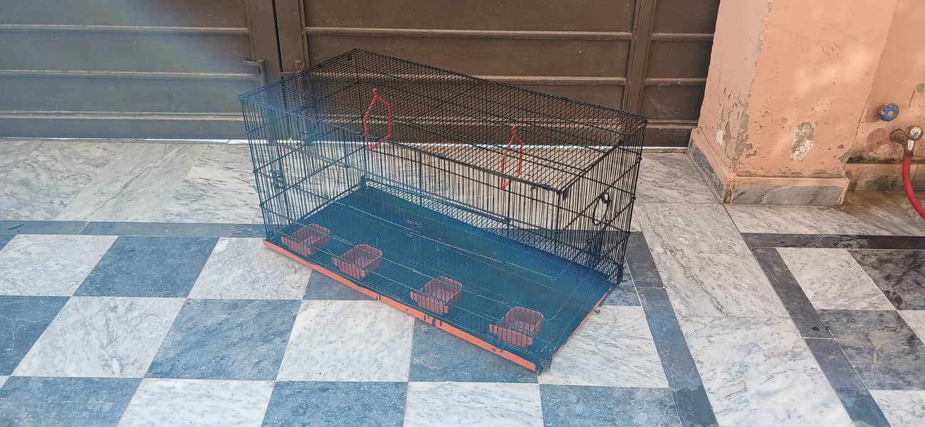 Birds,cage 0