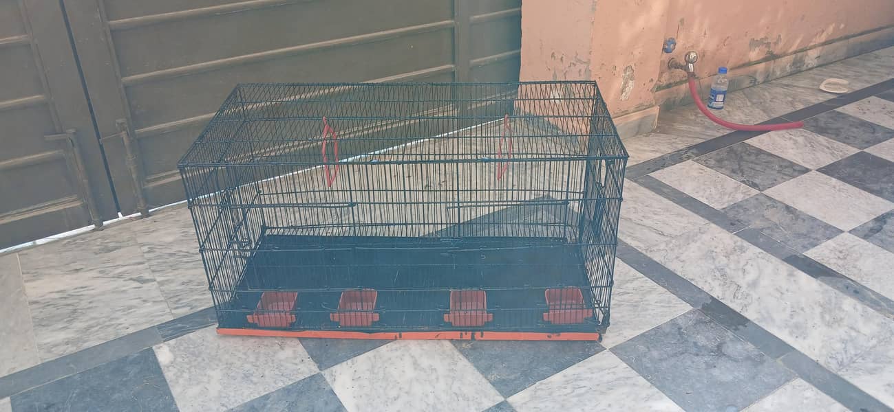 Birds,cage 1