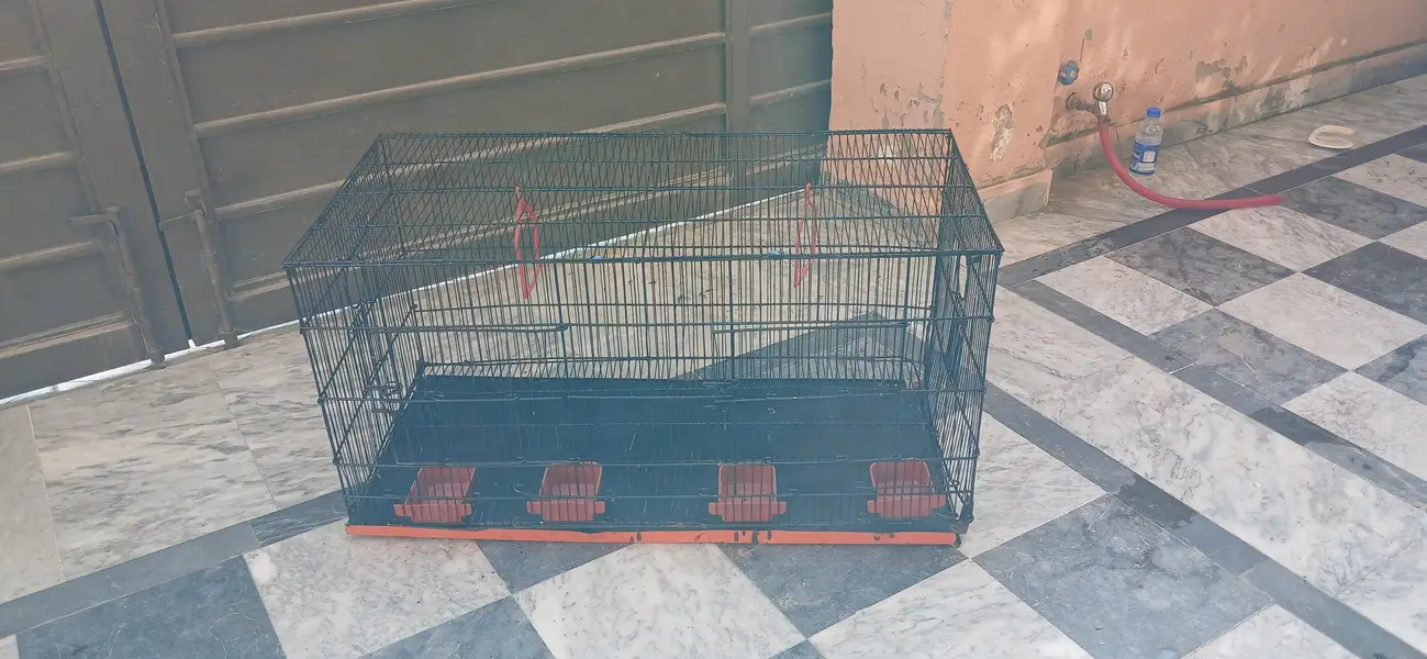 Birds,cage — photo 2