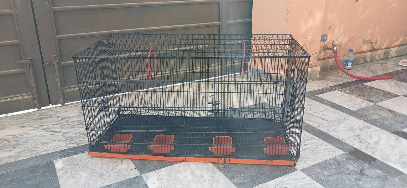 Birds,cage 2
