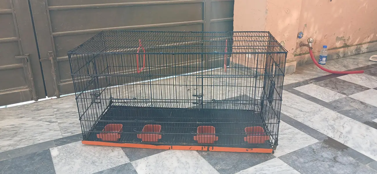 Birds,cage — photo 3