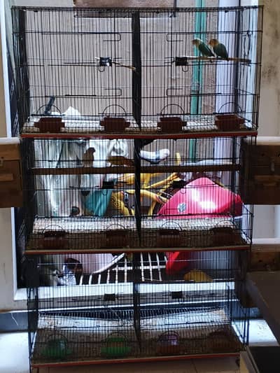 parrots cages