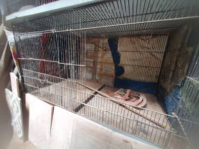 birds cage in good condition only 6 or 8 monts use