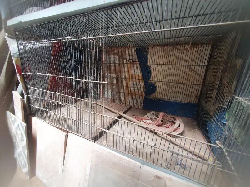 birds cage in good condition only 6 or 8 monts use