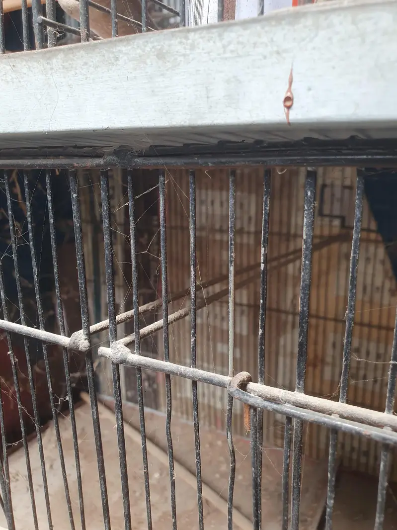 birds cage in good condition only 6 or 8 monts use — photo 3