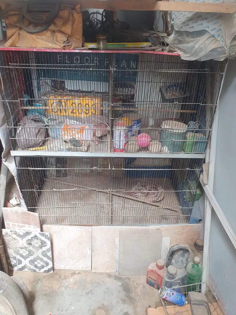 birds cage in good condition only 6 or 8 monts use — photo 4