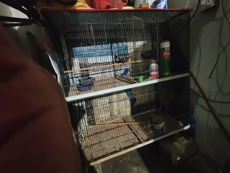 birds cage in good condition only 6 or 8 monts use — photo 6