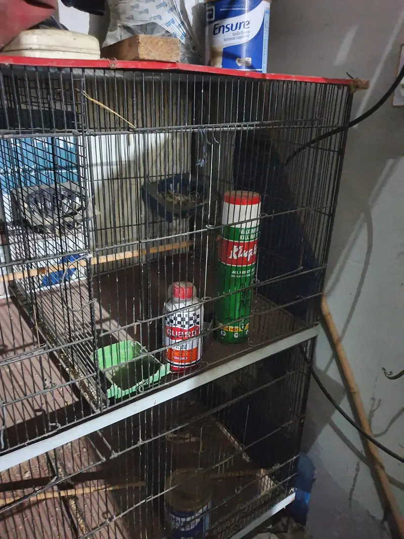 birds cage in good condition only 6 or 8 monts use — photo 7
