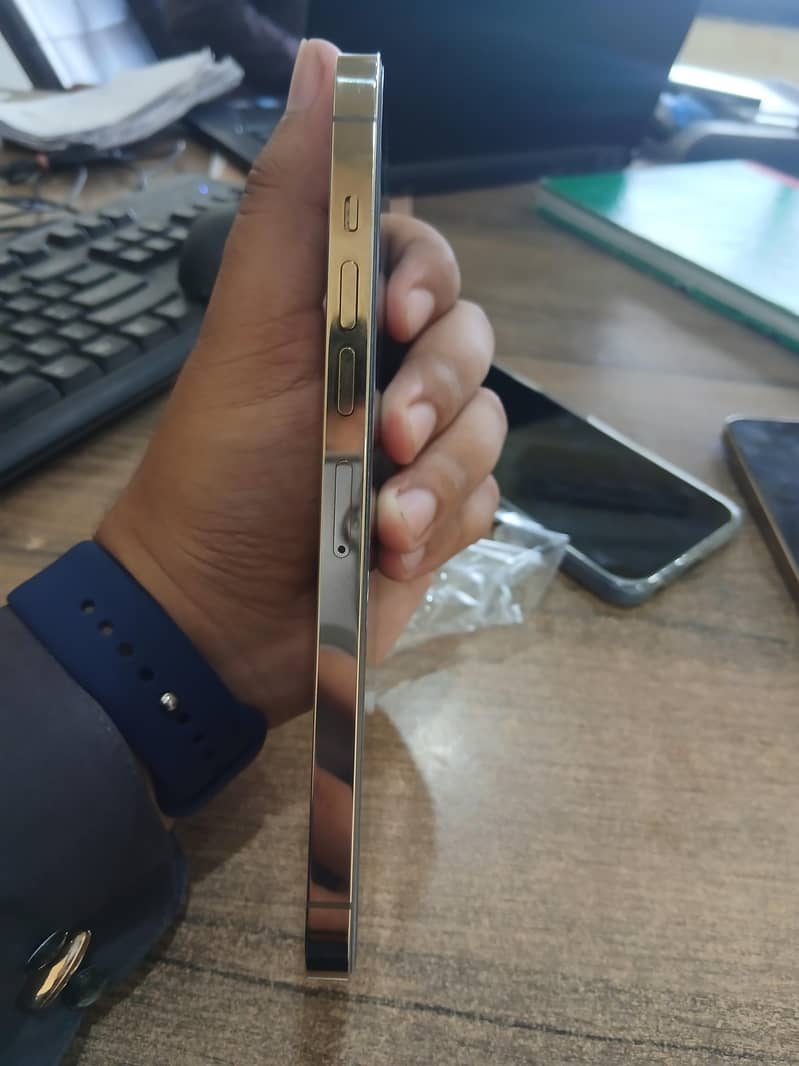 Apple iPhone 13 Pro Max 1