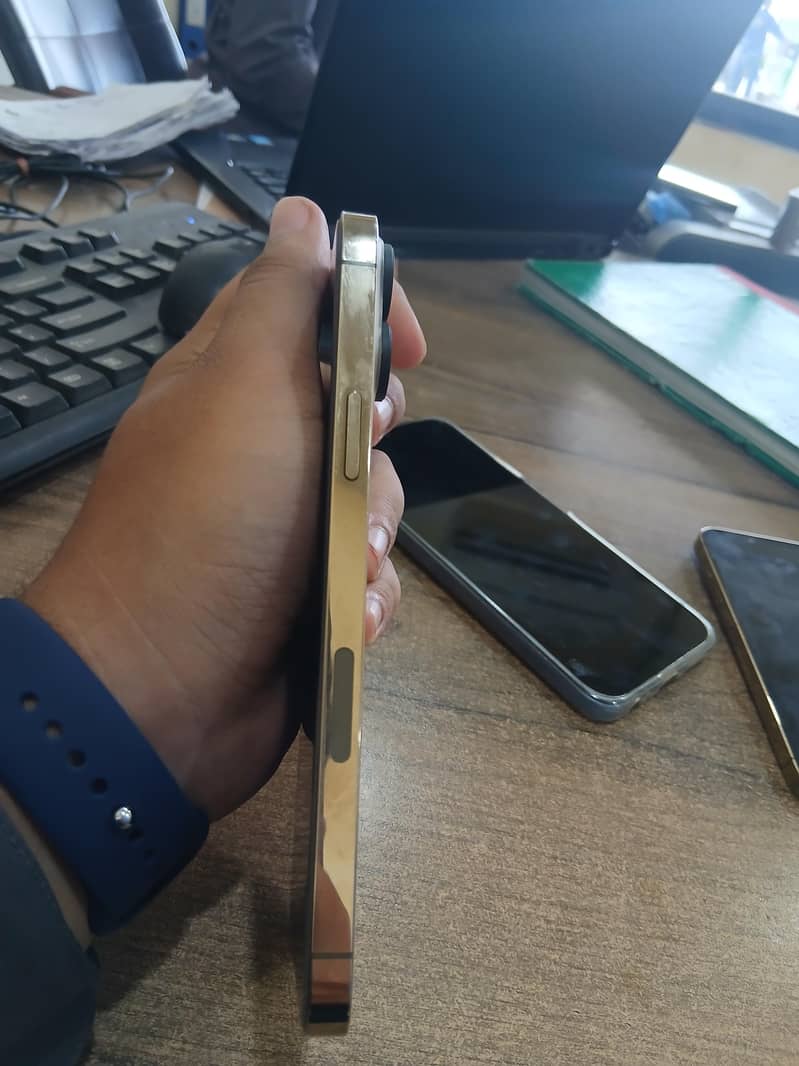 Apple iPhone 13 Pro Max 2