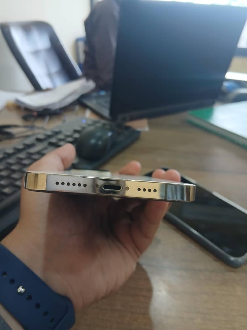 Apple iPhone 13 Pro Max 3