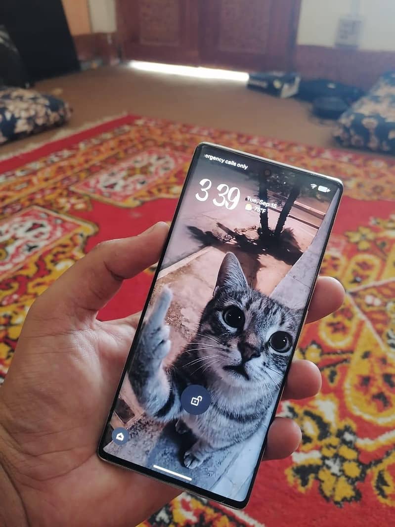 Google Pixel 6 Pro (256) 1