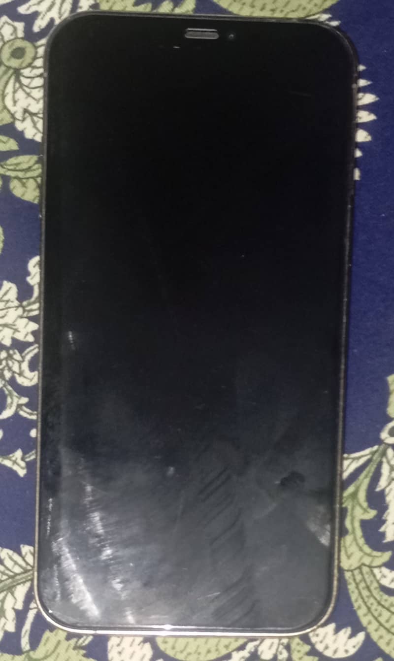 Apple iPhone 12 Pro Max 1