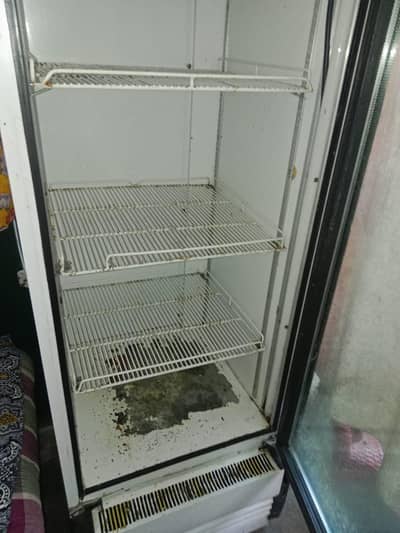 chiller for sale