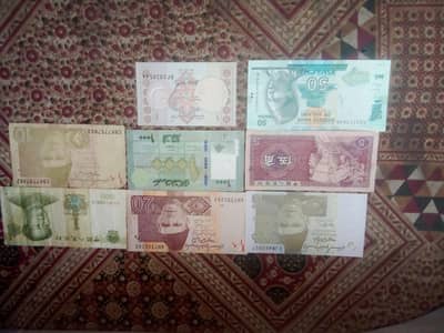 Foreign and Pakistani currency notes