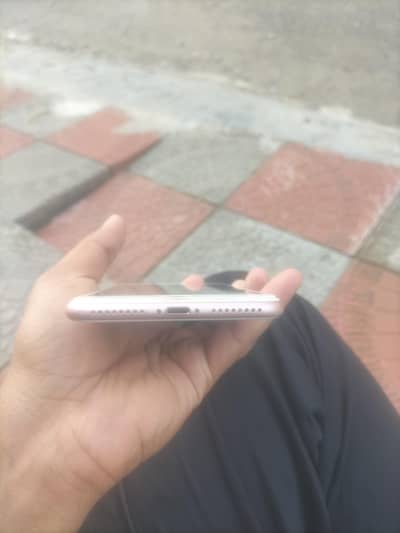 Apple iPhone 7 Plus 03201586543