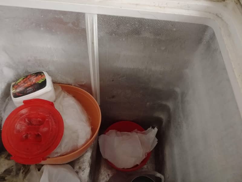 freezer 1