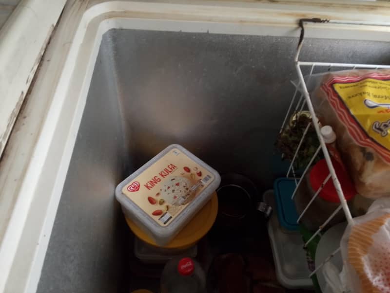 freezer 2