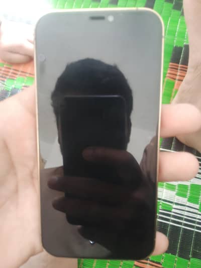 Apple iPhone 12 Pro