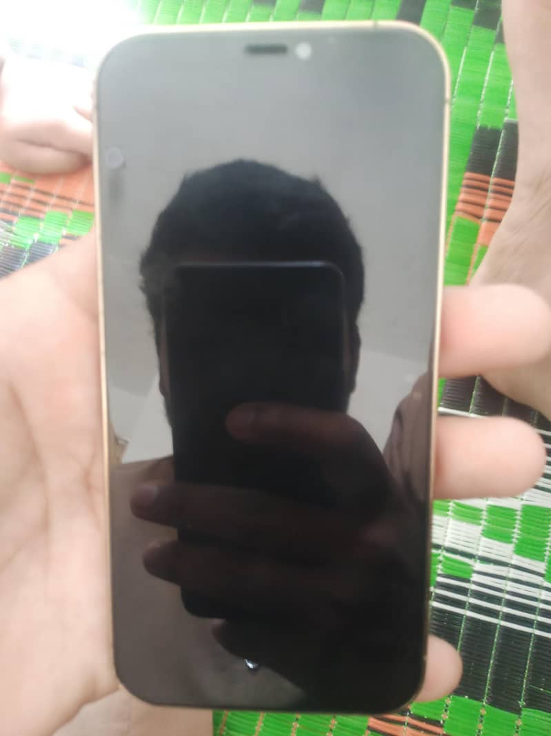 Apple iPhone 12 Pro 0