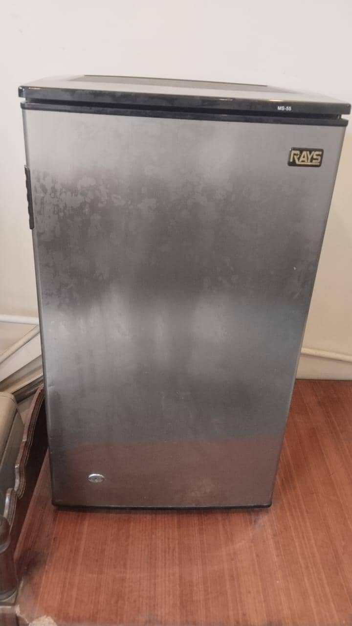 RAYS MINI FRIDGE 0
