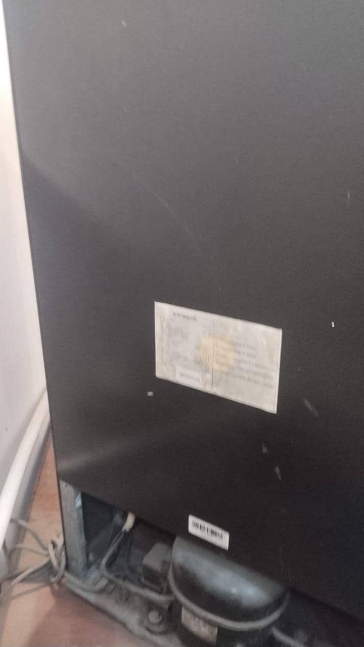 RAYS MINI FRIDGE 2