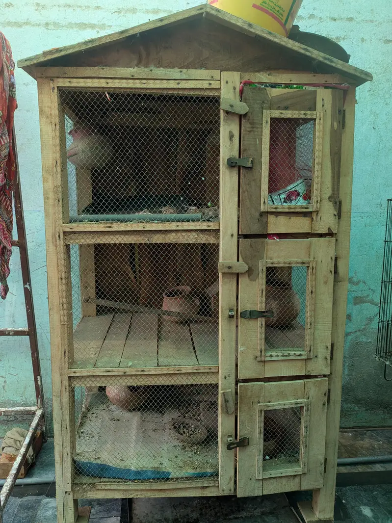 cage 3 portion