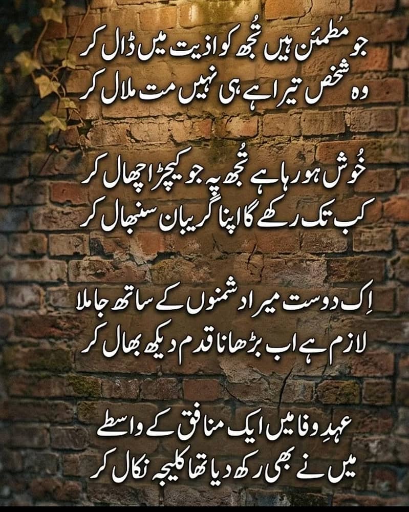 فاختہ برائے فروخت ہیں چھ پئر ہیں ٹوٹل 5