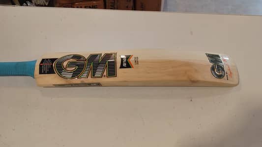 Hard ball bat