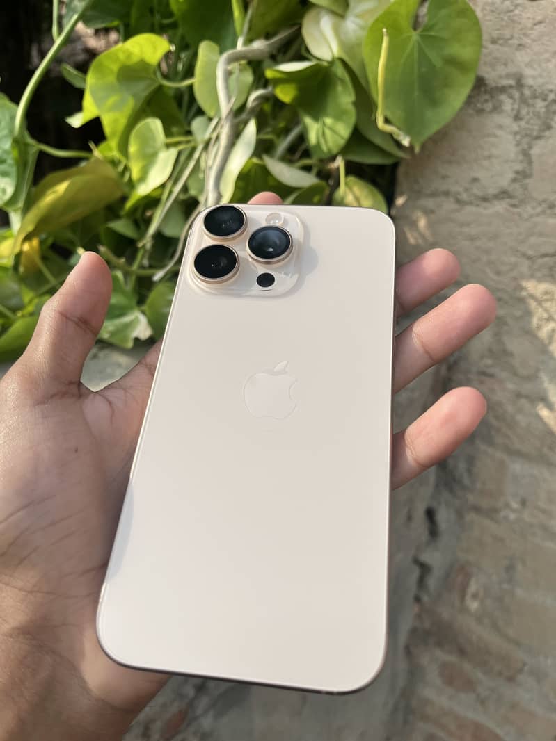Apple iPhone 16 Pro Max 1
