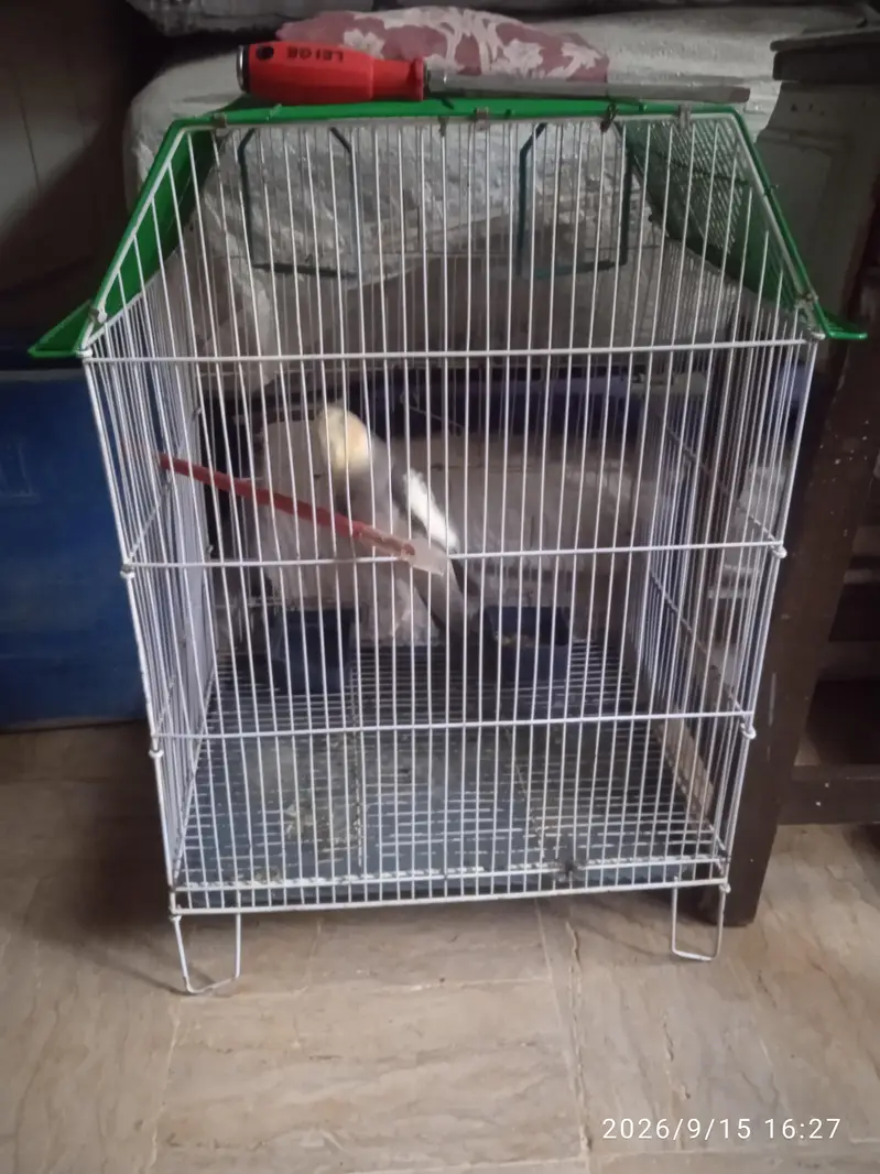 Cocktail With Cage — photo 6