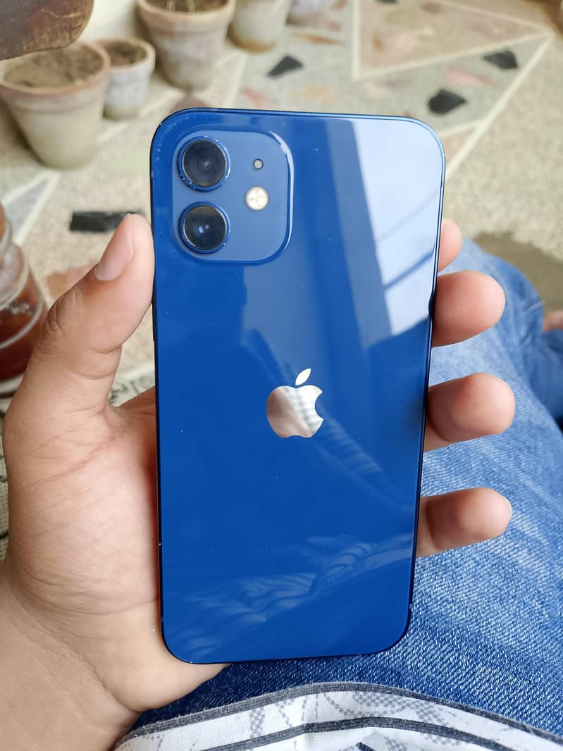 Apple iPhone 12 2