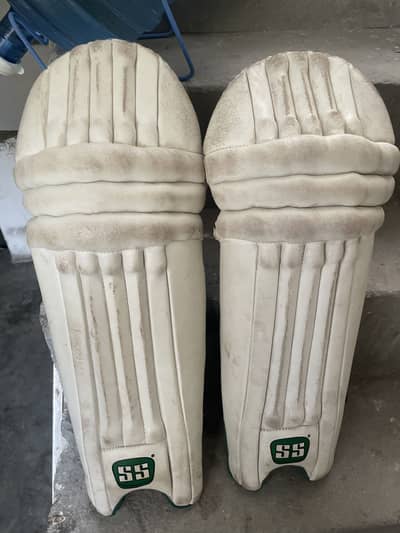 cricket high quality pads
