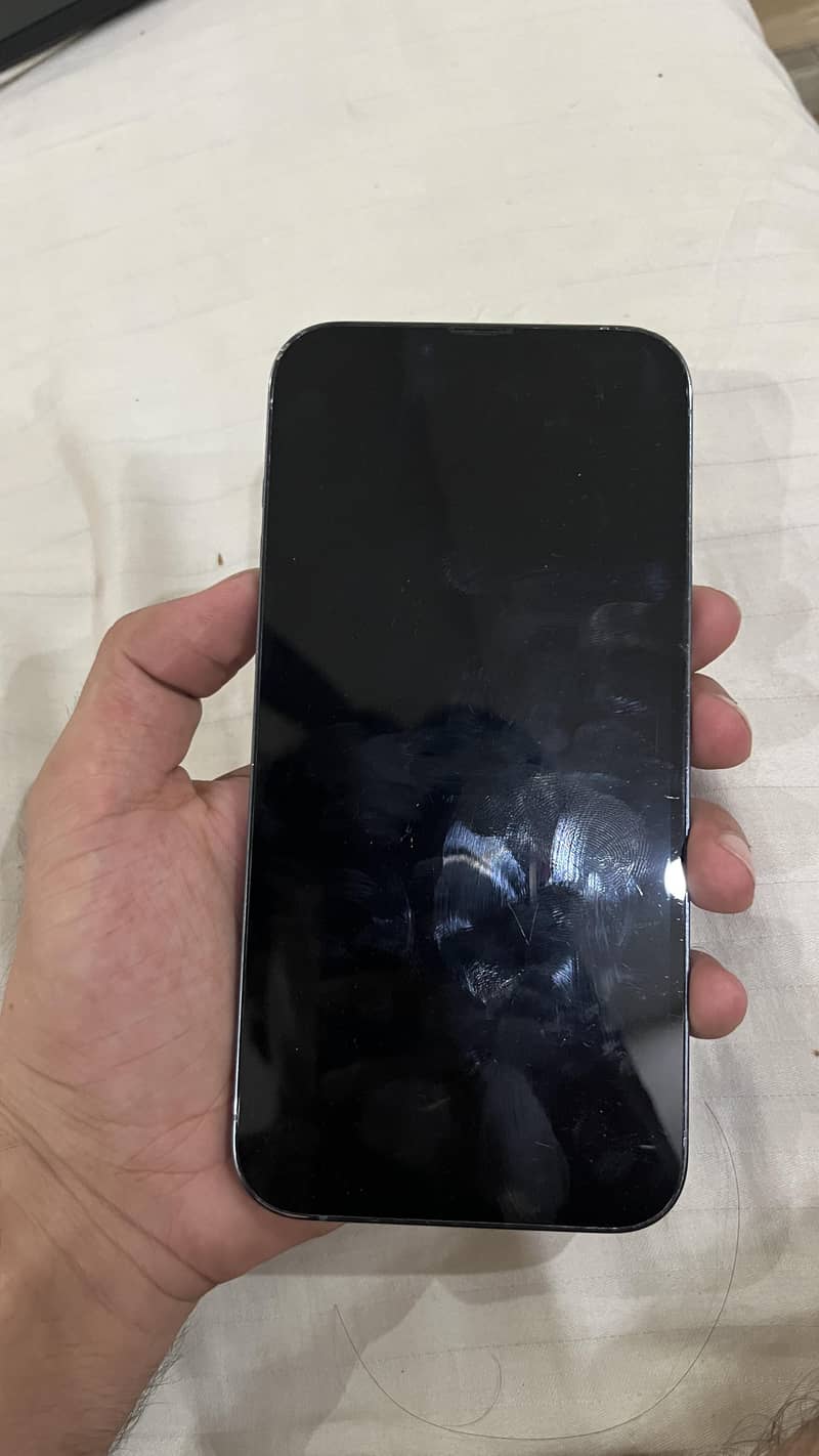 Apple iPhone 13 Pro Max 1