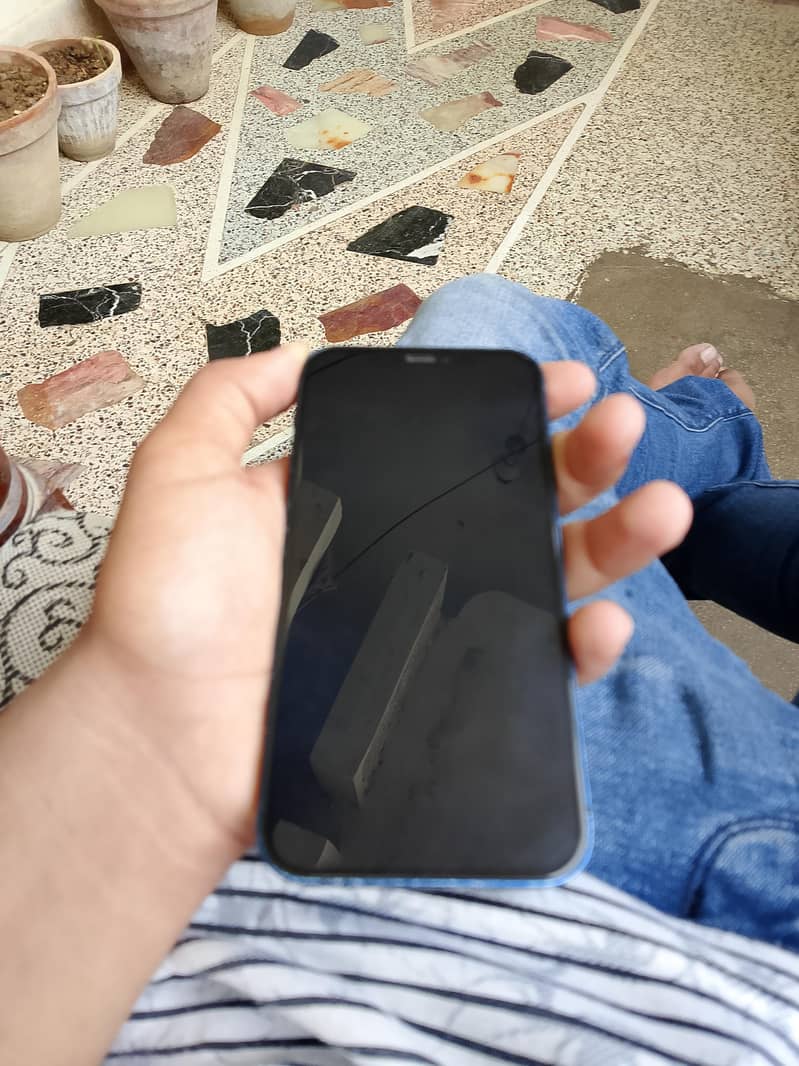 Apple iPhone 12 1