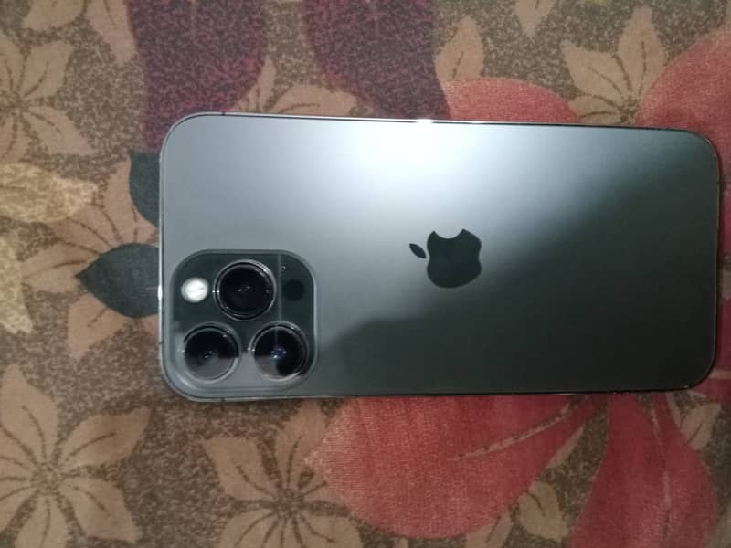 Apple iPhone 13 Pro Max 1