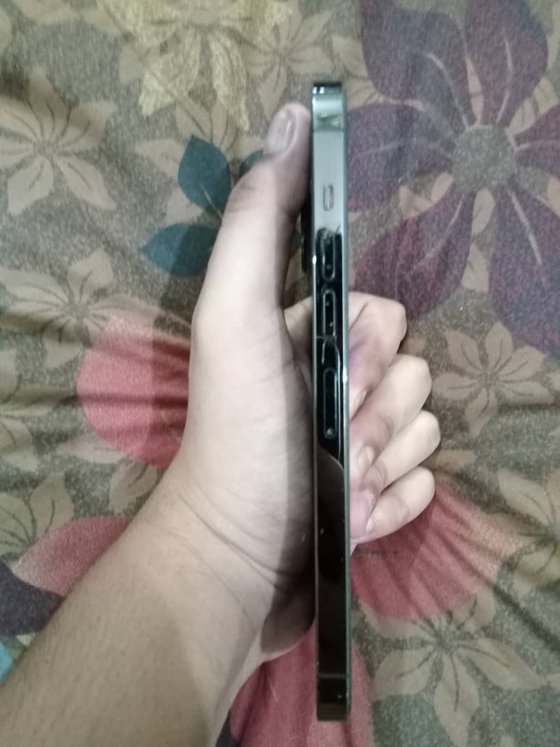 Apple iPhone 13 Pro Max 2