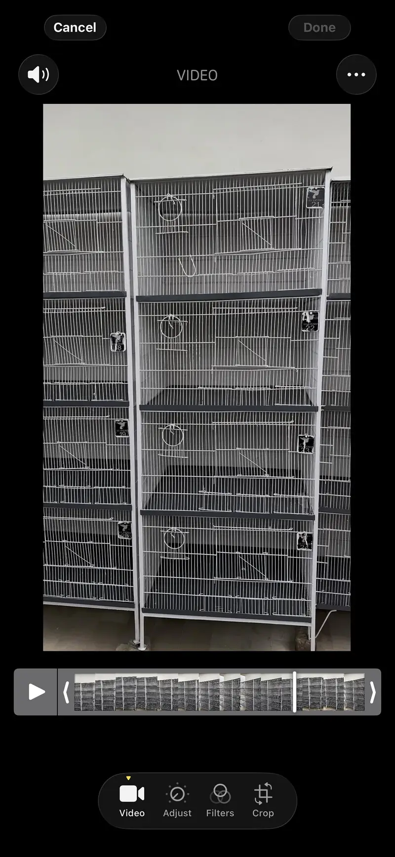 Cages with 10/10 condition and quality