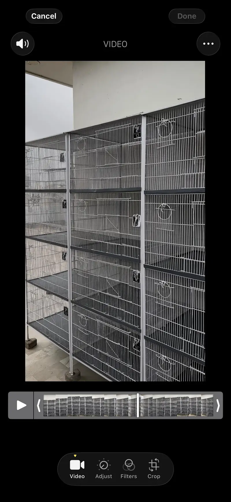 Cages with 10/10 condition and quality — photo 2