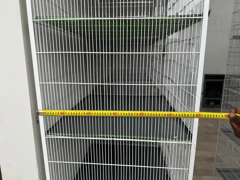 Cages with 10/10 condition and quality — photo 3